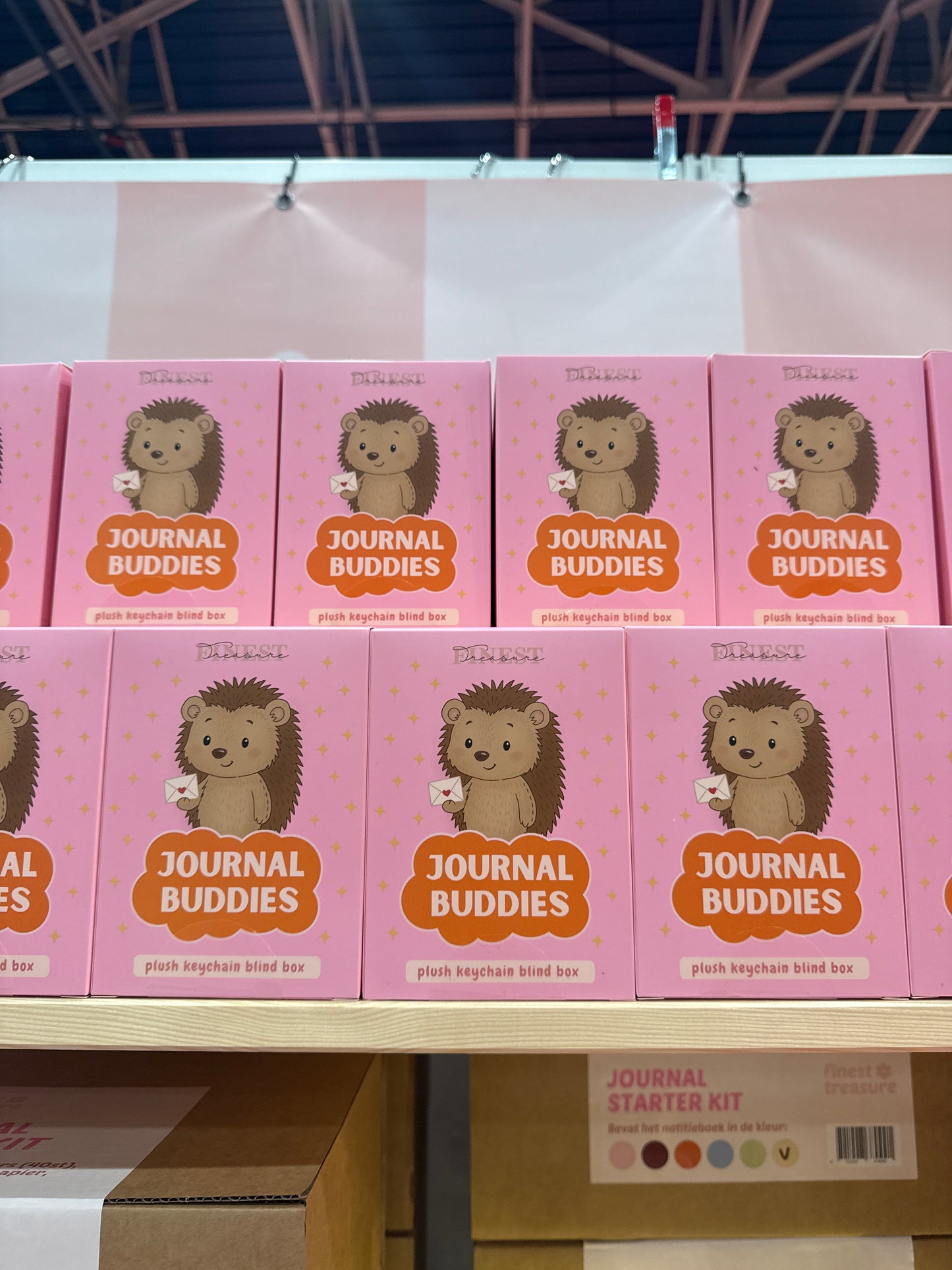 Set (3x) Journal Buddy Blind Box