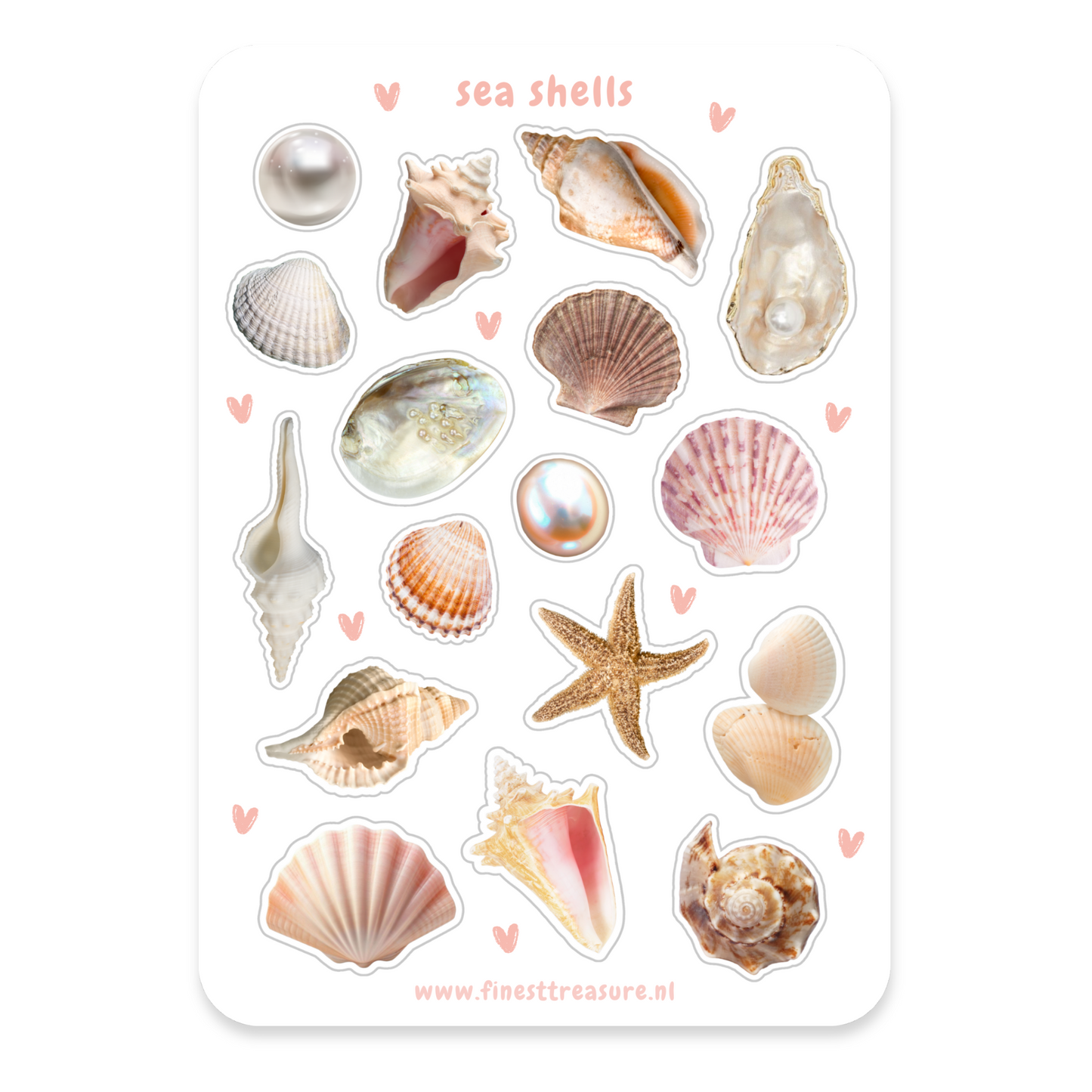 Stickervel Sea Shells