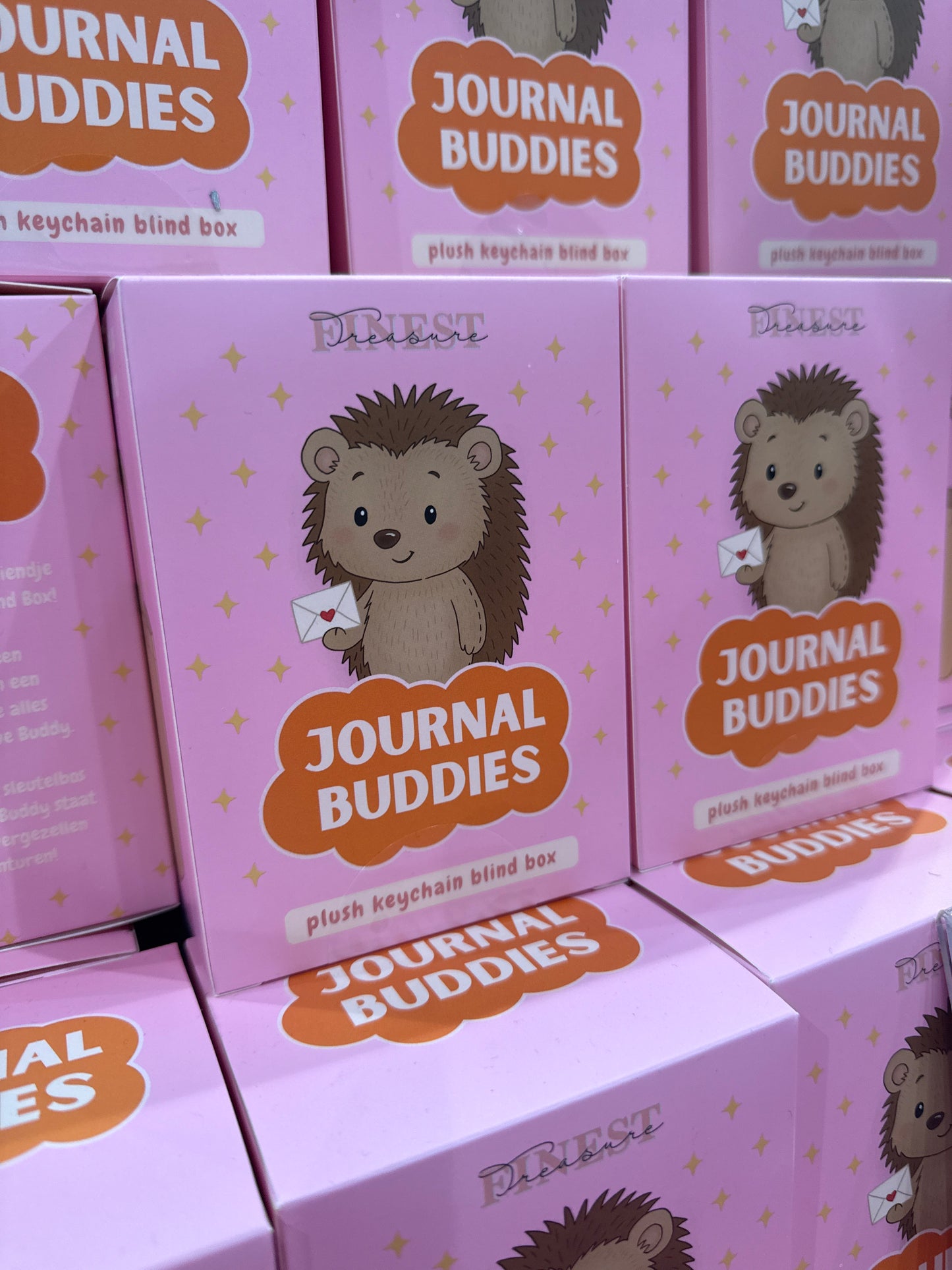 Journal Buddy Blind Box