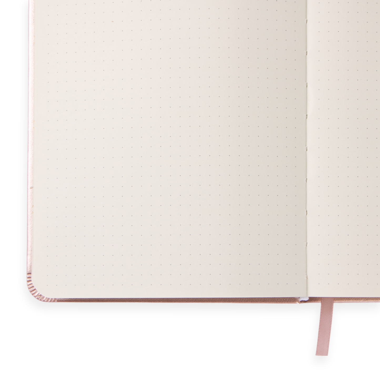 Diario Bloom Rosado